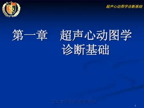 1-1-1第一章 超声心动图学诊断基础