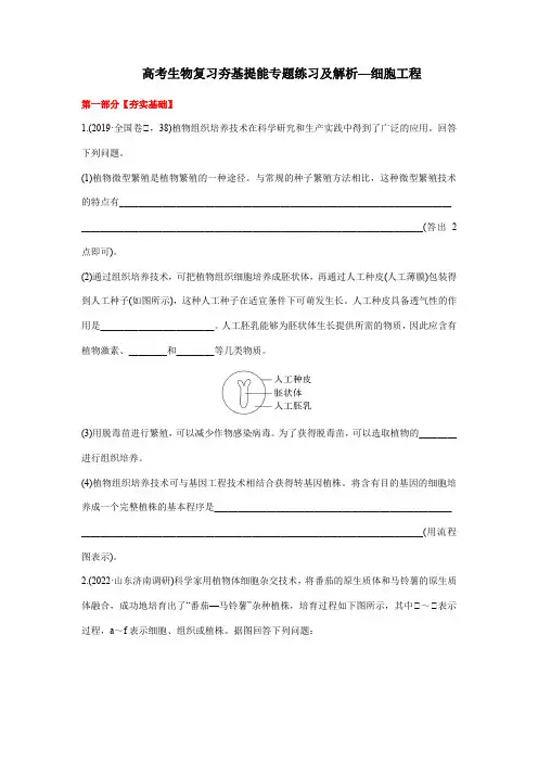 高考生物复习夯基提能专题练习及解析—细胞工程