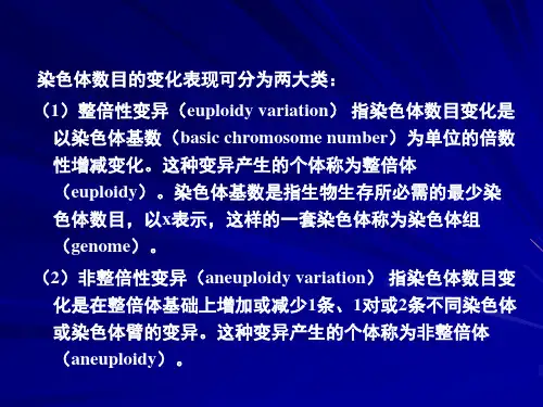 第七章染色体的整倍性变异