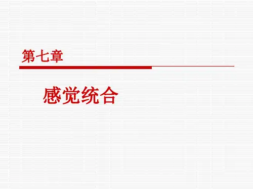 感觉统合