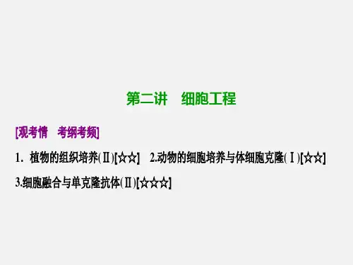 高考生物 一轮复习 现代生物科技专题 第二讲 细胞工程 新人教版