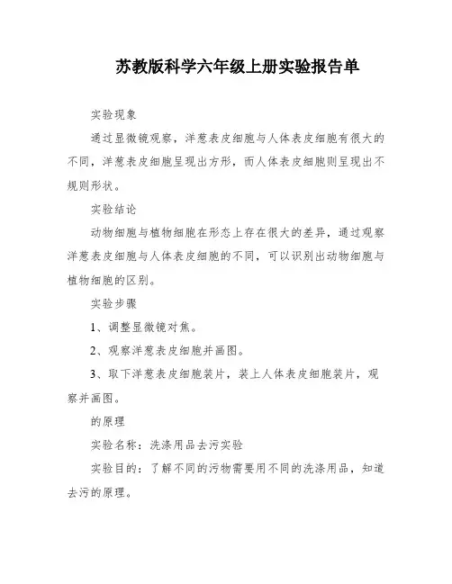 苏教版科学六年级上册实验报告单