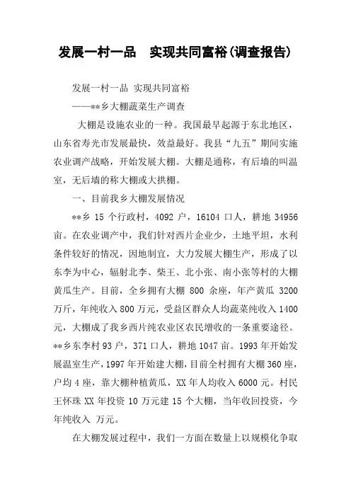 发展一村一品  实现共同富裕(调查报告)