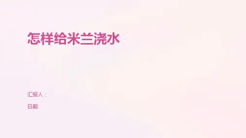 怎样给米兰浇水