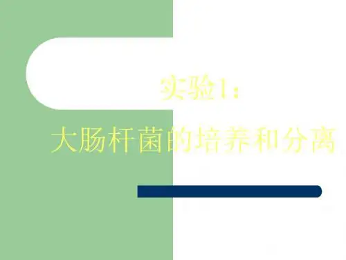 实验1大肠杆菌的培养和分离ppt课件