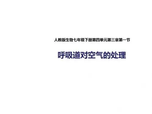 人教版七年级生物下册4.3.1《呼吸道对空气的处理》课件(25张PPT)