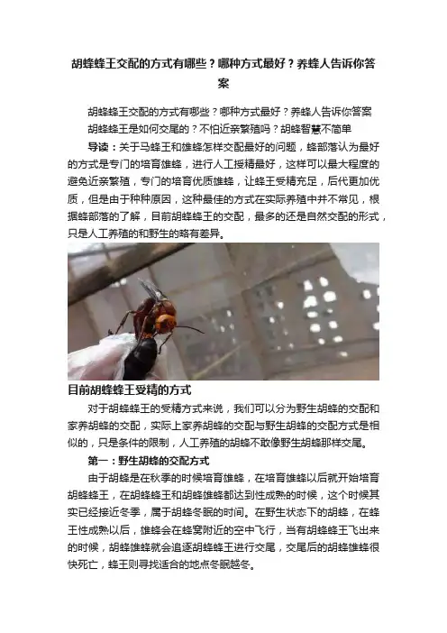 胡蜂蜂王交配的方式有哪些?？哪种方式最好？养蜂人告诉你答案?