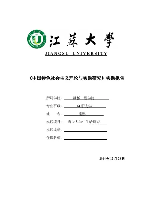 中国特色社会主义实践报告