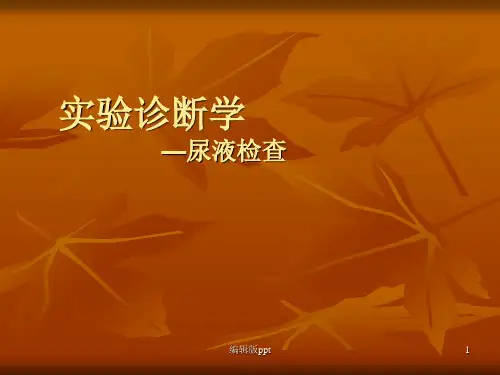 实验诊断学尿液检查ppt课件