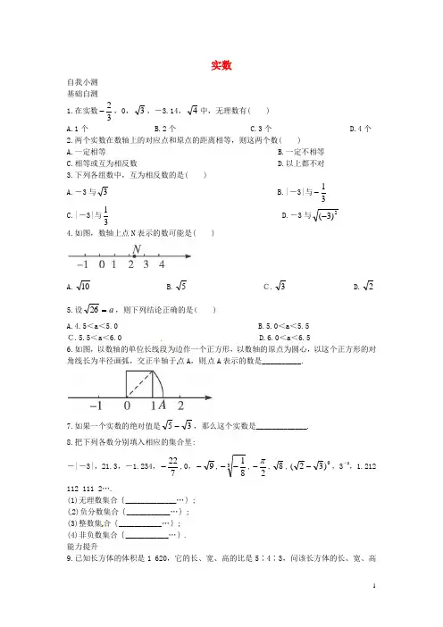 八年级数学上册 第十四章 实数专题练习1 (新版)冀教版
