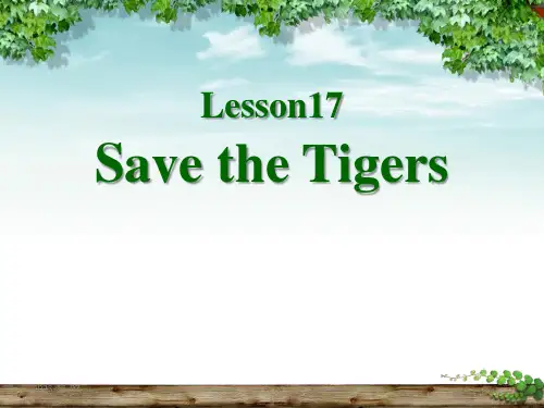 冀教版八年级下册英语《Save the Tigers》Animals Are Our Friend