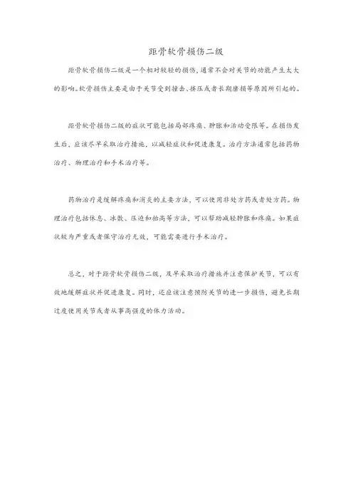 距骨软骨损伤二级