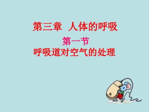人教版七年级生物下册第四单元第三章第一节《呼吸道对空气的处理》课件(共27张PPT)