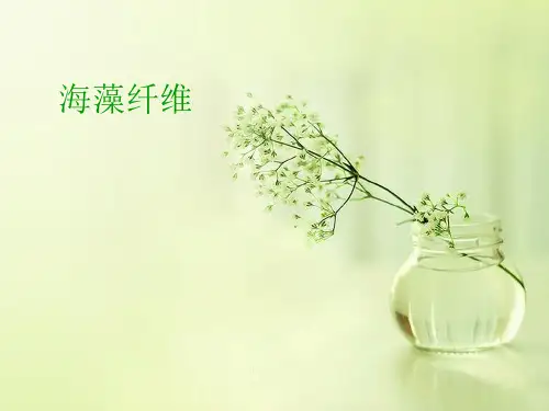 海藻纤维