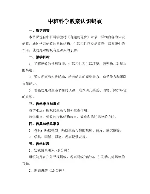 中班科学教案认识蚂蚁