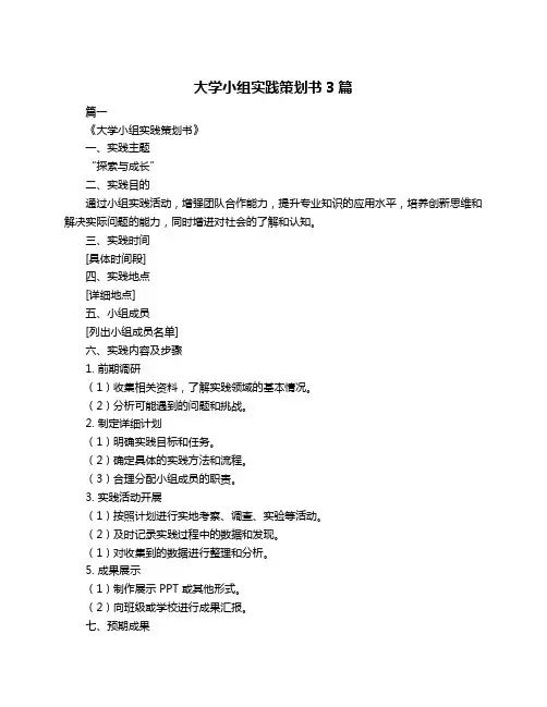 大学小组实践策划书3篇
