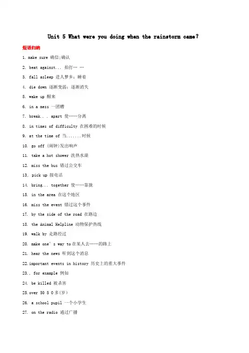 人教版八年级英语下册 Unit 5 What were you doing when the rai