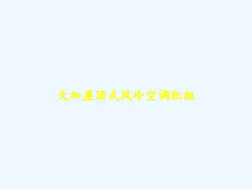天加屋顶式风冷空调机组 PPT