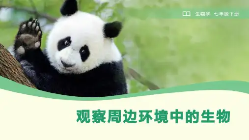 1.1.1 观察周边环境中的生物(课件)