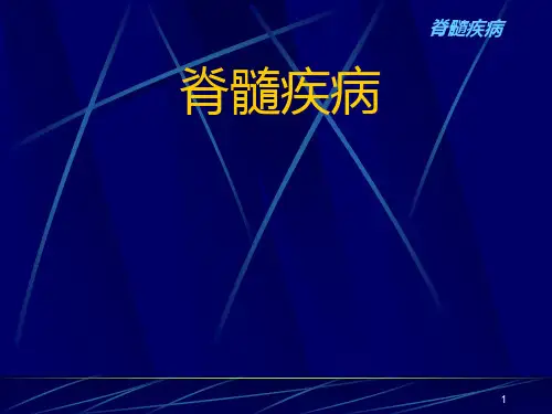 神经病学脊髓疾病ppt课件