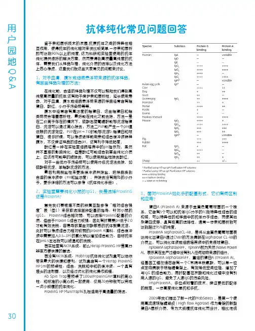 抗体纯化常见问题回答