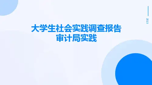 大学生社会实践调查报告审计局实践