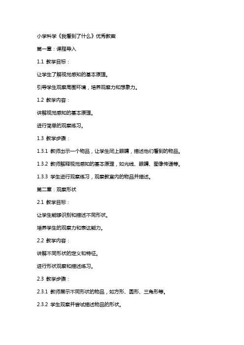 小学科学《我看到了什么》教案