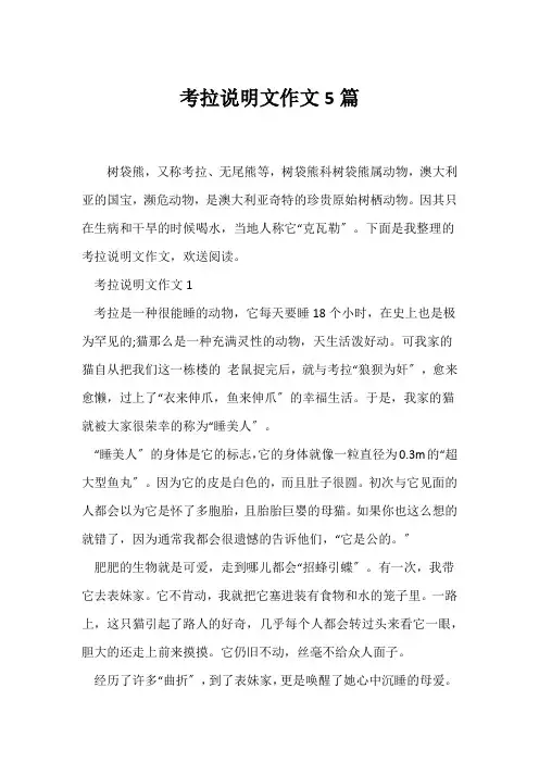 (说明文)考拉说明文作文5篇
