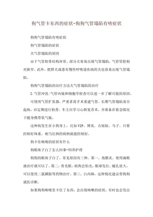 狗气管卡东西的症状-狗狗气管塌陷有啥症状