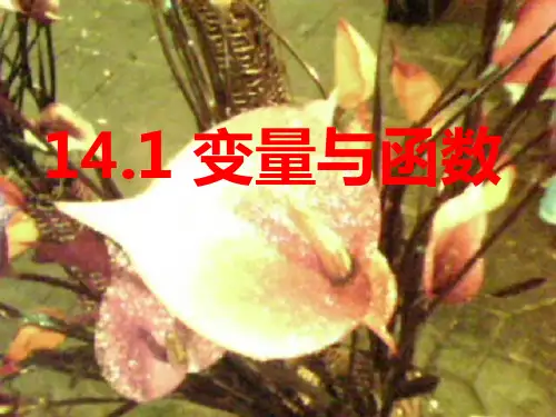 2021年人教版八年级数学下册第十九章《19.1变量与函数》公开课课件.ppt