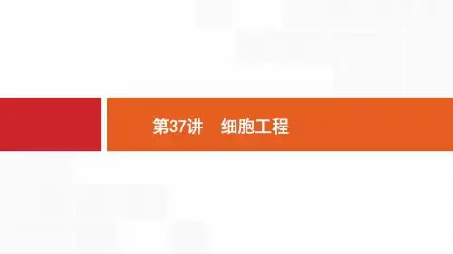 2020版新设计生物人教版大一轮复习课件：第10单元生物技术与工程+37