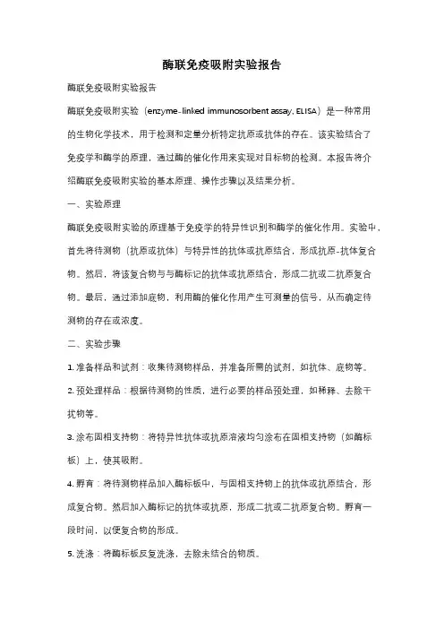 酶联免疫吸附实验报告