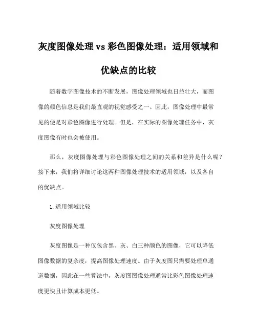 灰度图像处理vs彩色图像处理：适用领域和优缺点的比较