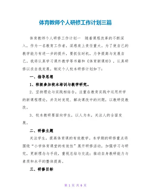 体育教师个人研修工作计划三篇