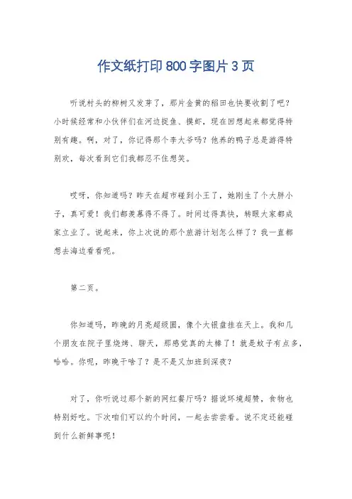 作文纸打印800字图片3页