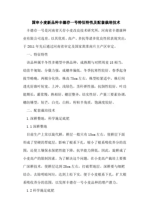 国审小麦新品种丰德存一号特征特性及配套栽培技术