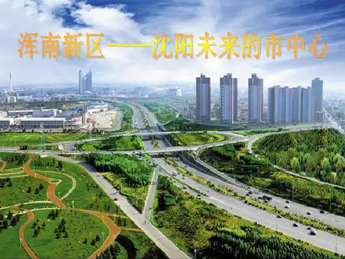 沈阳市浑南新区区位分析