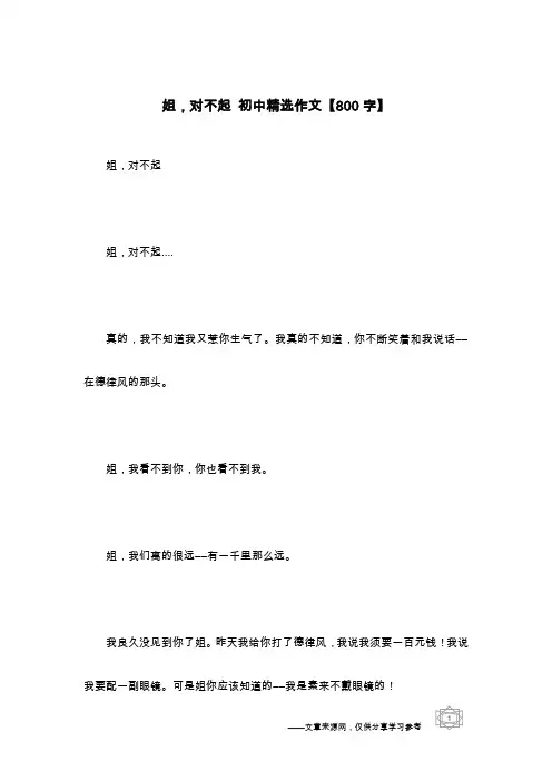 姐,对不起 初中精选作文【800字】