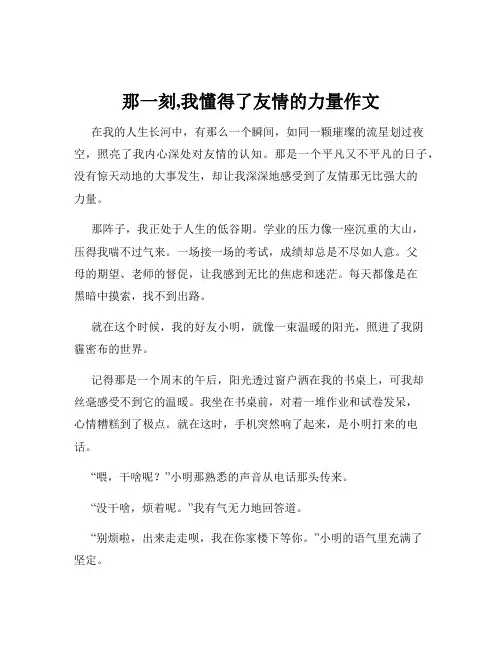 那一刻,我懂得了友情的力量作文