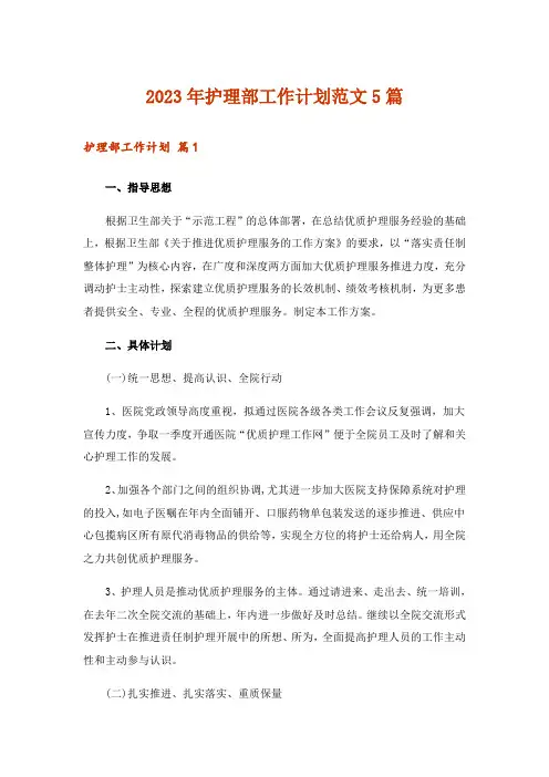 2023年护理部工作计划范文5篇