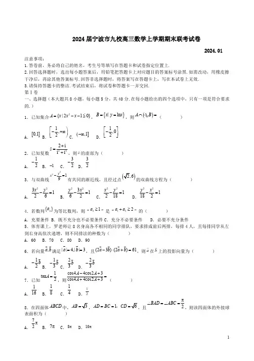 2024届宁波市九校高三数学上学期期末联考试卷附答案解析