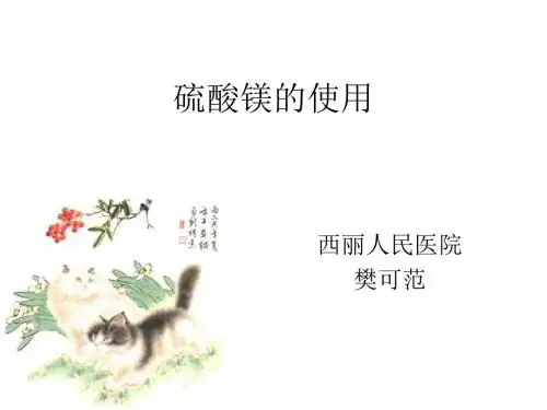 硫酸镁的使用PPT课件