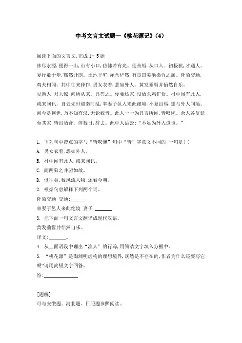 中考文言文试题—《桃花源记》(4)