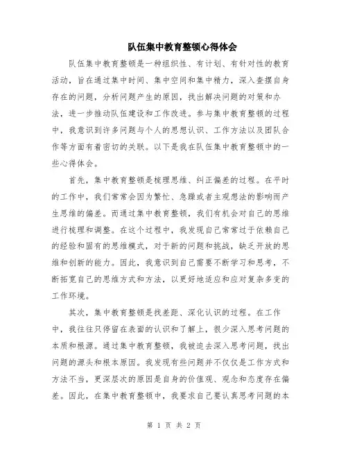 队伍集中教育整顿心得体会