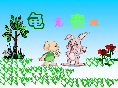 《龟兔赛跑》PPT