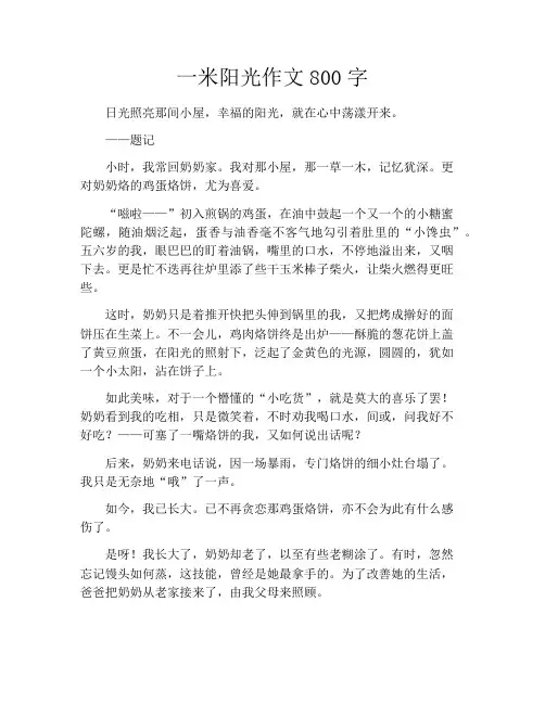 一米阳光作文800字