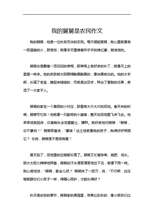 我的舅舅是农民作文