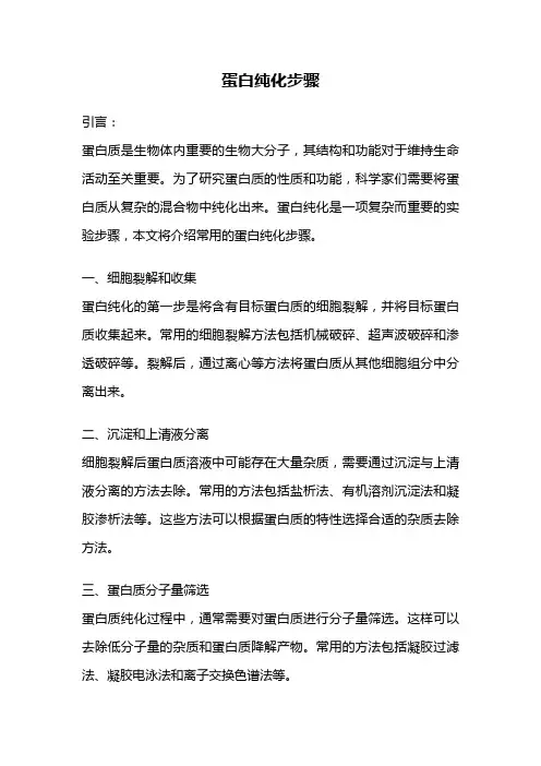 蛋白纯化步骤