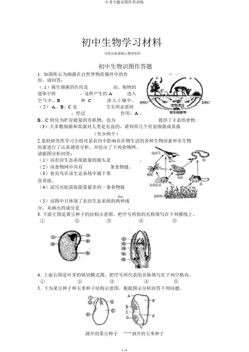 中考专题识图作答训练