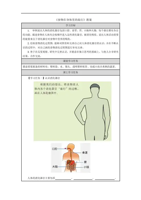 《食物在身体里的旅行》教案
